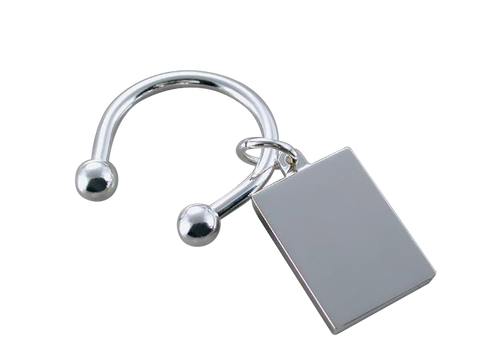 Silver Plated horse shoe Keychain with rectangle charm