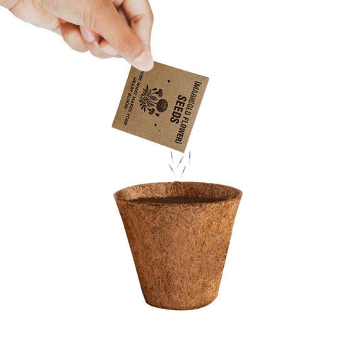 GKEN 9224 eco-neutral® All-in-One Plant Grow Kit