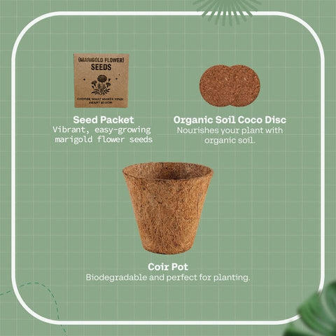 GKEN 9224 eco-neutral® All-in-One Plant Grow Kit