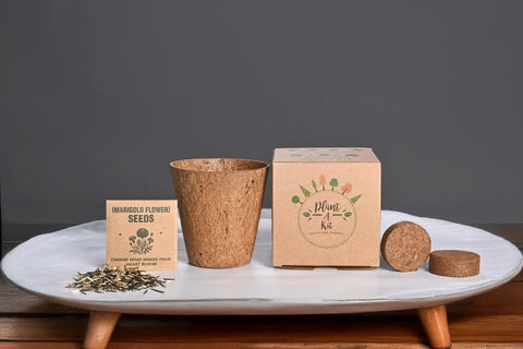 GKEN 9224 eco-neutral® All-in-One Plant Grow Kit