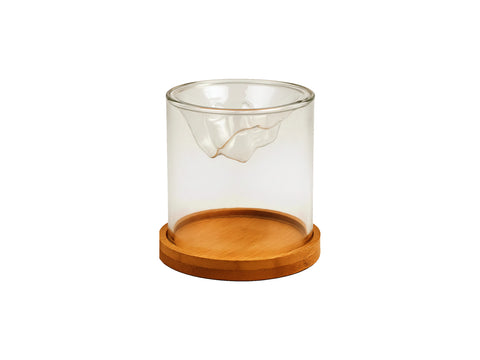 DDI018   Inpla — Elegant Glass Terrarium with Bamboo Base