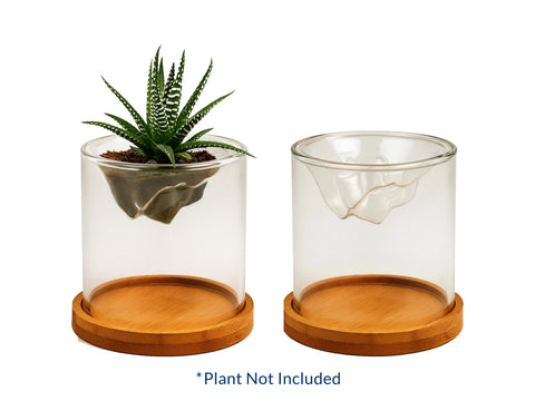 DDI018   Inpla — Elegant Glass Terrarium with Bamboo Base